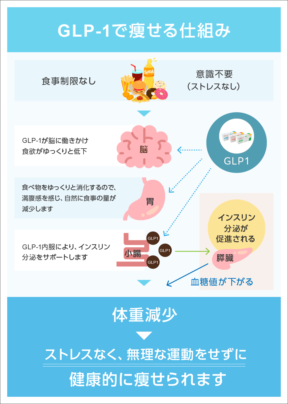 ダイエット外来 GLP-1でやせる仕組み