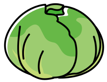 キャベツ